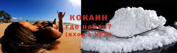 индика Кодинск