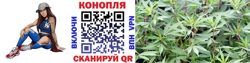 Купить  Волгоград  Конопля VHQ 
